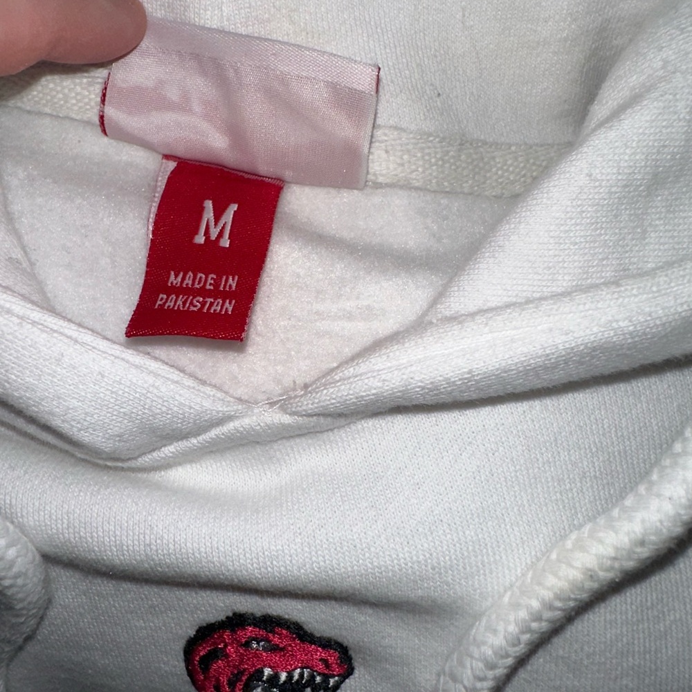 Toronto Raptors Hoodie - Picture 3 of 5